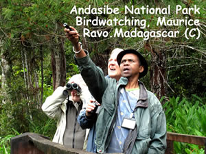 Parc National de Mantadia Madagascar, pour les passionés d'oiseaux