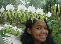 Selling online Photos of Madagascar, Liantsoa Jenny and orchids, Ravo.Madagascar 2013 picture