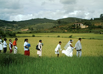 Vente de Photos en ligne, des Photos de Madagascar, un mariage a travers les rizieres, Ravo.Madagascar photo 2006