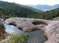 Selling online Photos of Madagascar, pool and forest at Andringitra National Park, Ravo.Madagascar 2014 picture