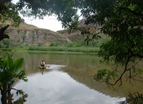 Selling online Photos of Madagascar, a lake of crocodiles at Makay massif, Ravo.Madagascar 2012 picture