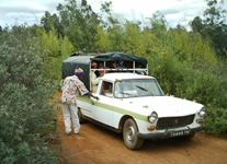 Vente de Photos en ligne, des Photos de Madagascar, une vieille Peugeot 404 bachee dans la region d Antananarivo, Ravo.Madagascar photo 2006