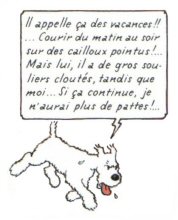 Milou de Herge, dans Tintin au Tibet