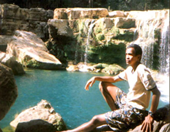 The Tsingy of Bemaraha National Park, Madagascar, Ravo.Madagascar picture