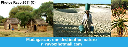 Anakao, Efoetse, Itampolo, Lavanono, Androka - The deep South part of Madagascar