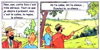 Tintin et le capitaine Haddock de Hergé dans L Affaire Tournesol - philosophie, ecoutez-le ce silence