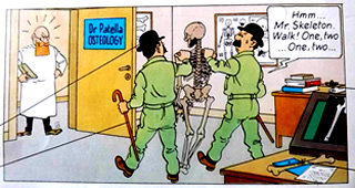 Tintin and Snowy, The Thompsons, french comics of Hergé
